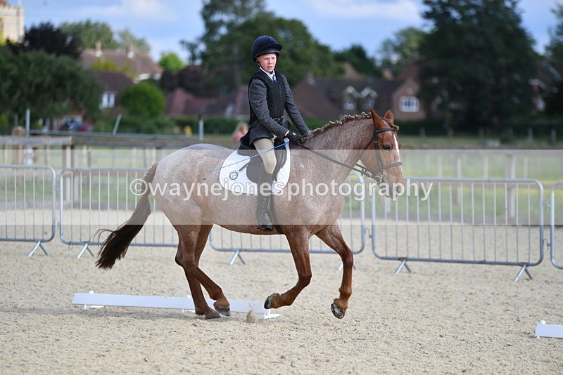 WJ5_8029 - Time 16:56 to 17:14