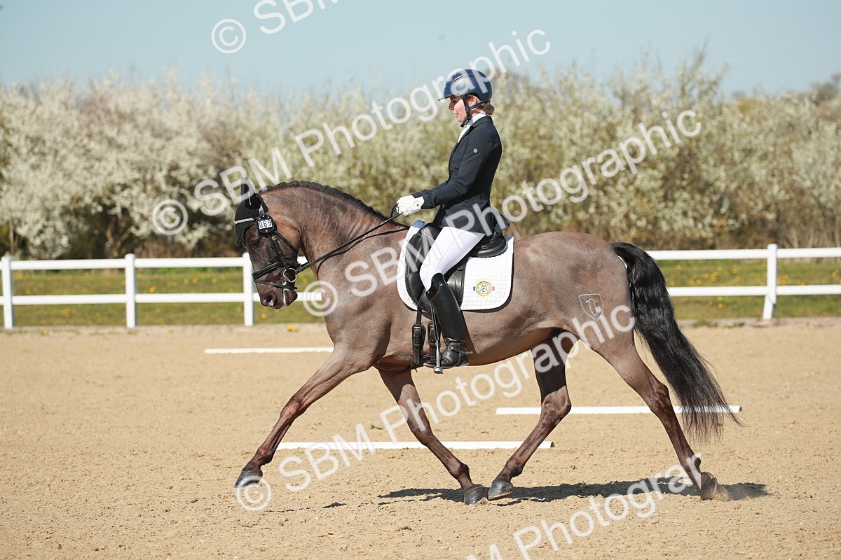 SJ3_1587 - Class 2-5-4-6-7 - Paso Doble-Golega-Sevilla-Lisboa-Novato