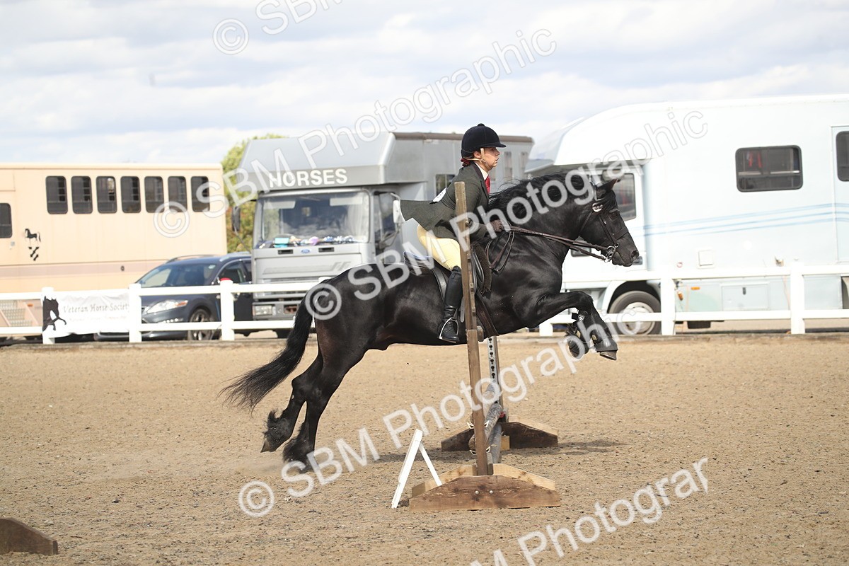 SBM_15165 - Class 505b - M&M Working Veteran - 50cm (20+)