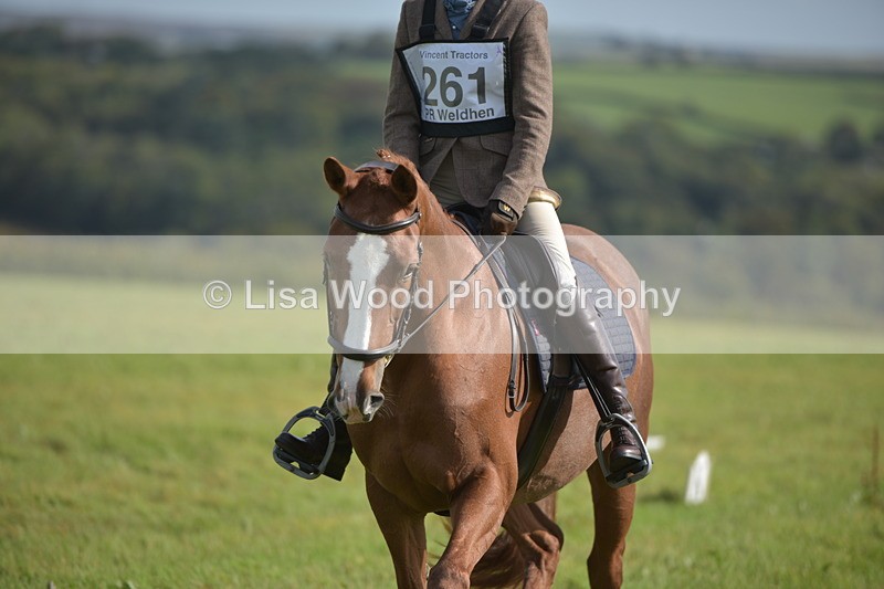 RAY_7831 - Class 2B: Trekenning Open: Dressage