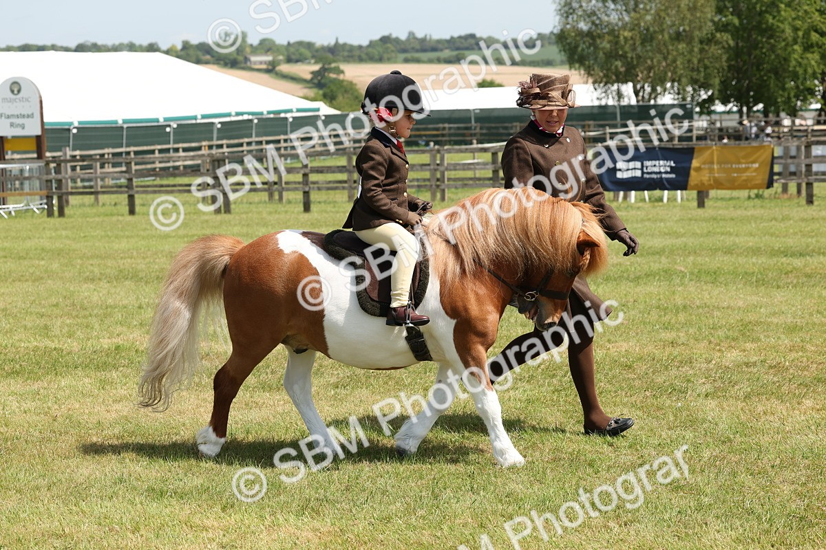 SBM_05264 - Class 24-25 - Mountain & Moorland In Hand Lead Rein and First Ridden