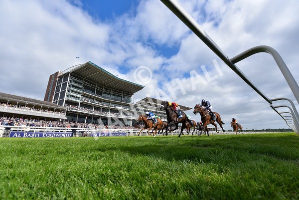 150525-Tropical Storm-2442 - Race 5 4.18pm British Stallion Studs EBF Westow Stakes