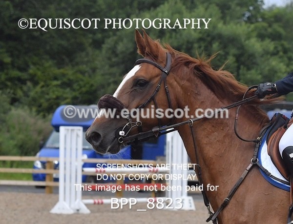 BPP_8823 - CLASS 4  Senior Discovery/ 1m Open