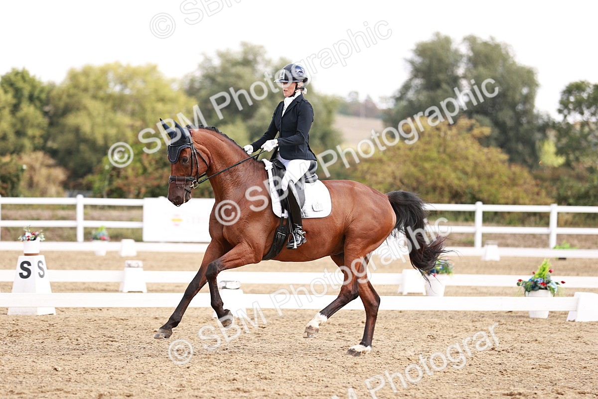 SBM_017660 - Class 11 - Advanced Medium 6