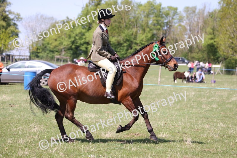 20250427-3321 - Class 33 - Best Pony 14.2hh and Under