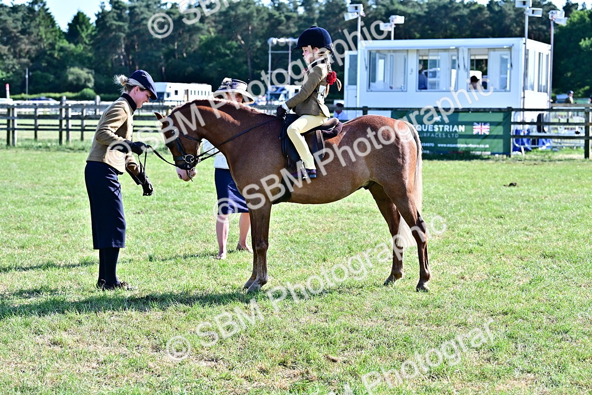 SBM_19809 - Class 103 - 105 - TSR Ridden Amateur of the Year Plaited Ponies