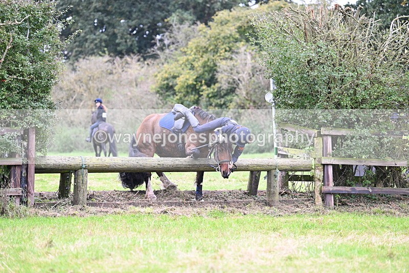 WJ7_1994 - Time at Photographer 13:27 to 14:14