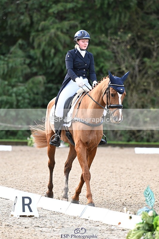 251023A-101733-01474 - B-128-Holly.Law