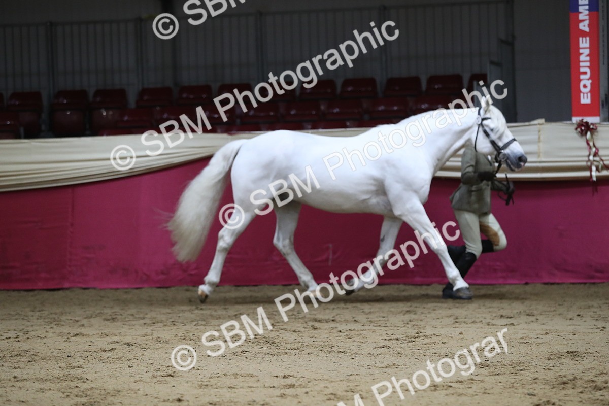 SBM_04403 - Class 7R Regional - IH Diamond