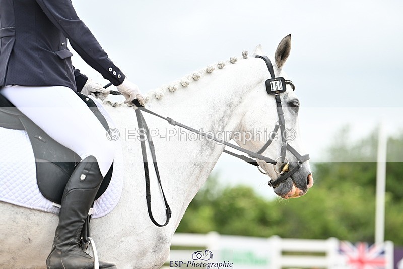 240623A-122621-17932 - Cls 48 BD Novice 37A