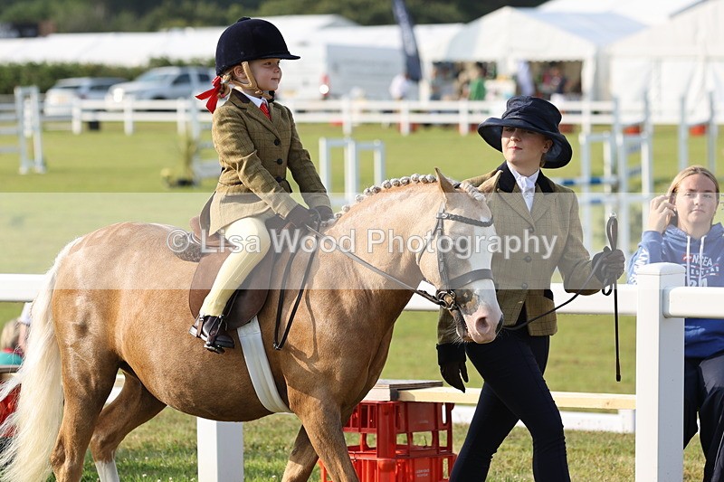JPP_0142 - Class 14: Cornish Combination Leading Rein