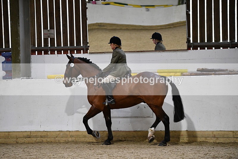 WJ5_9005 - Class 15 Ridden Show Horse