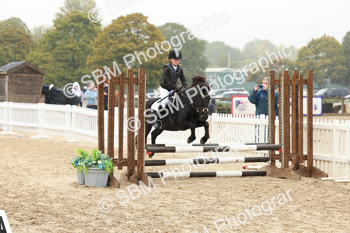 SBM_69337 - J13 - Junior Pony 60cm Championship