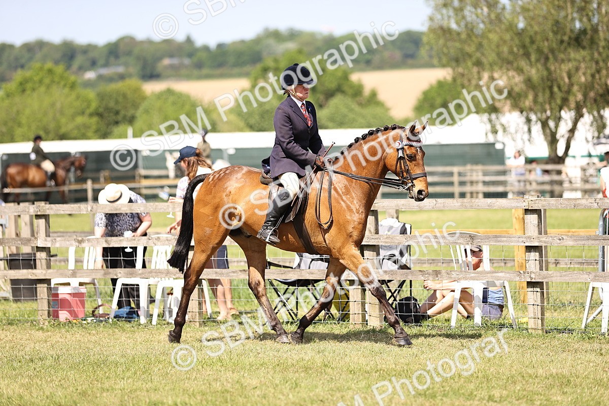 SBM_17972 - Class 81-83 - TSR Ridden Amateur of the Year - Horses