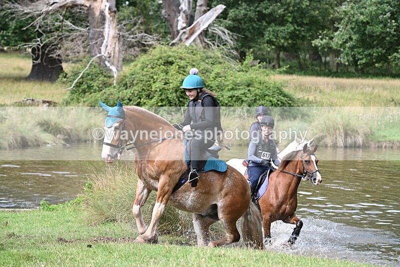 WJ7_1369 - Time at Water 10:09 to 10:47