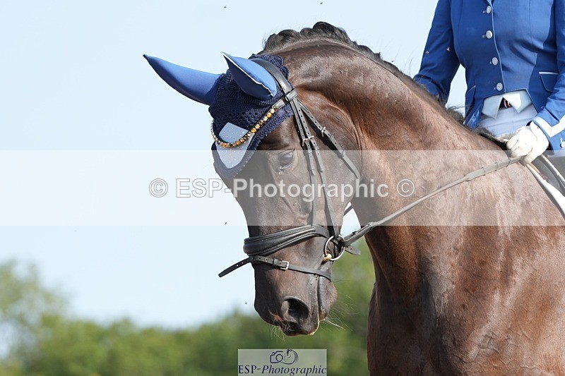 250815-092717-00108 - 002-Katie.PowellSantonio