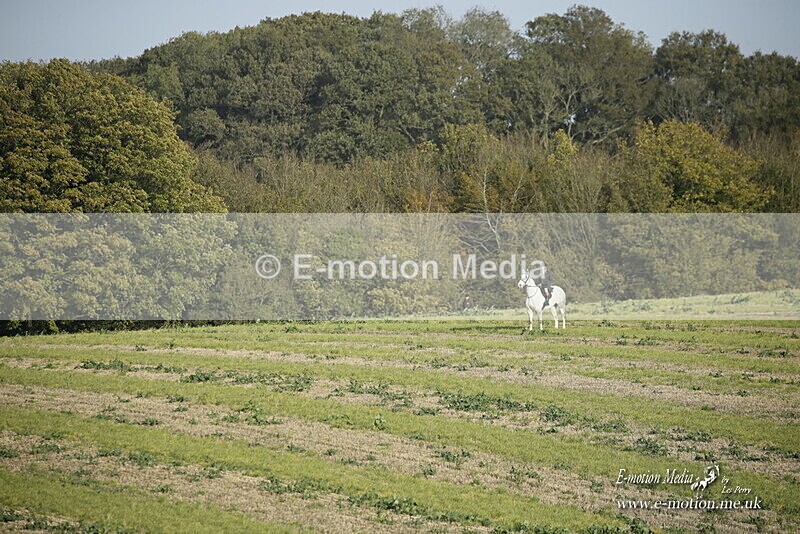 PtP 250921 0709 - Point-to-Point Badbury Rings Dorset 07/11/2021