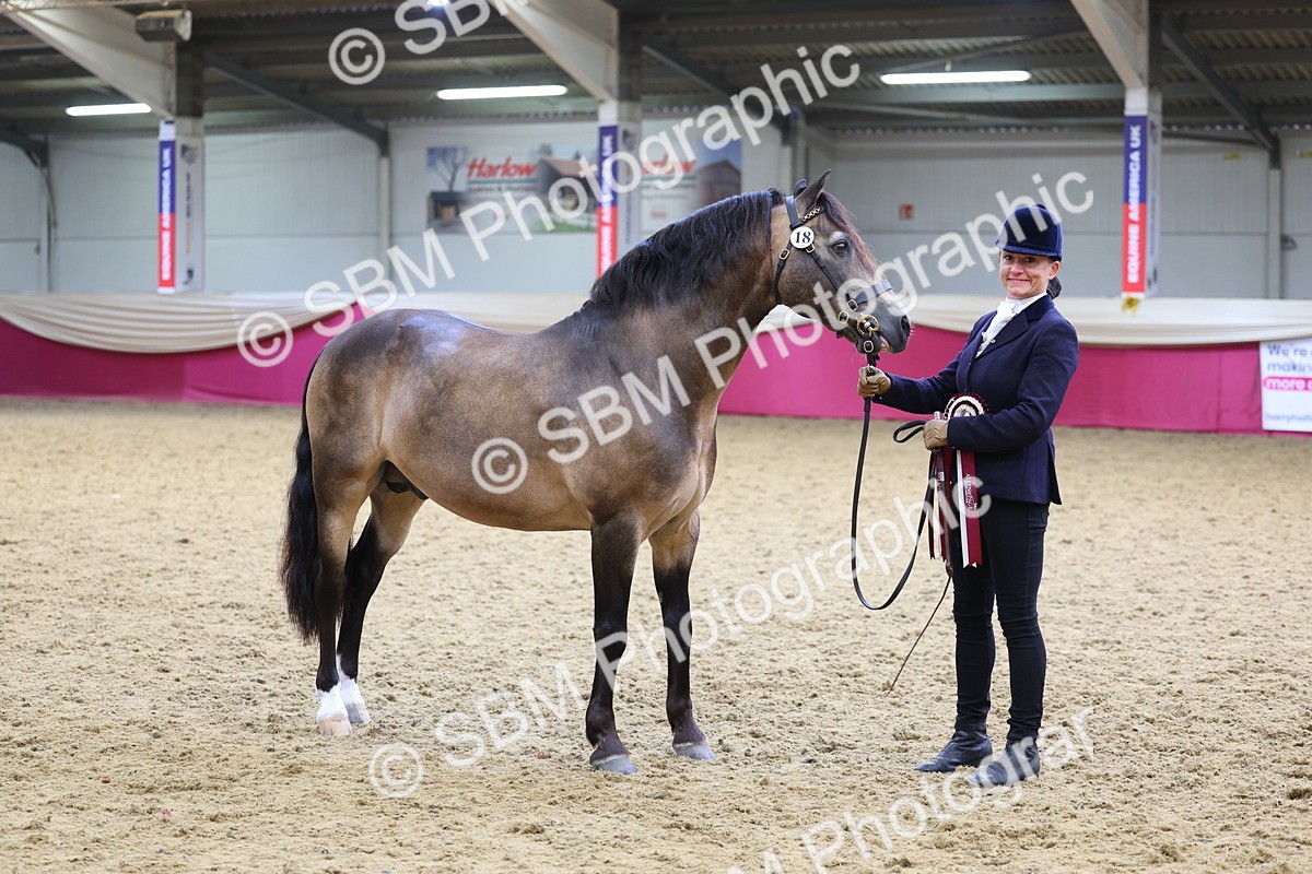 SBM_23026 - Class 903 - Supreme Final - IH Pre Vet