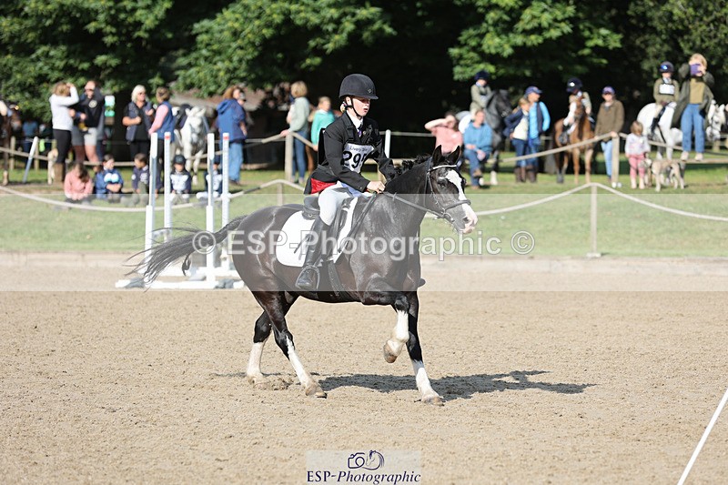 240823X-094140-14642 - 60cm R1 8.30 to 10.00