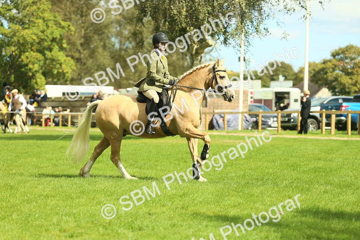 SBM_42114 - S29 - Novice & Newcomers Working Hunter Pony
