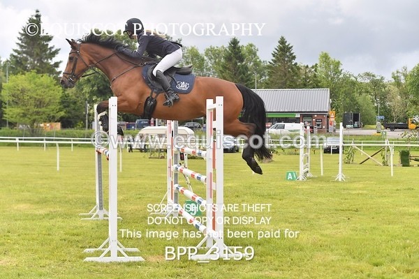 BPP_3159 - CLASS 2 SENIOR FOX/1.20M OPEN