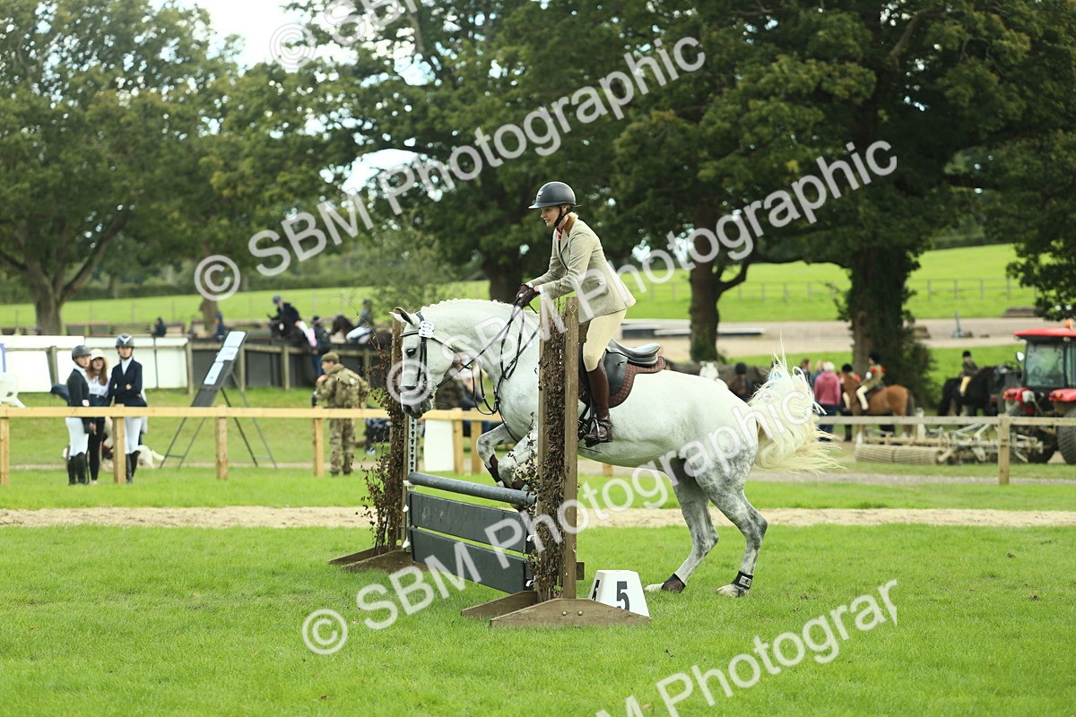SBM_47984 - S32 - Novice & Newcomers Working Hunter
