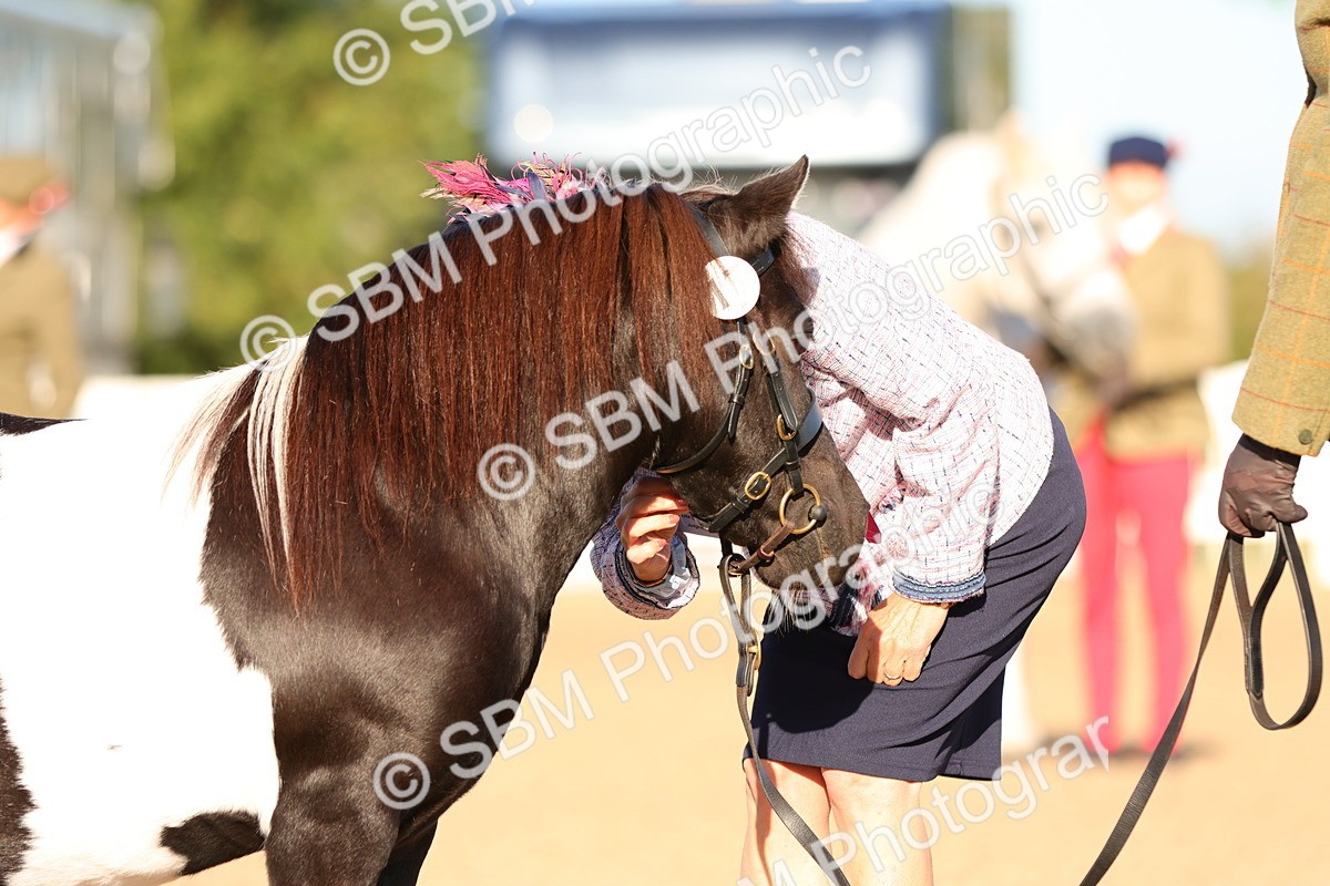 SBM_08015 - Class 201 - Best Turned Out - IH