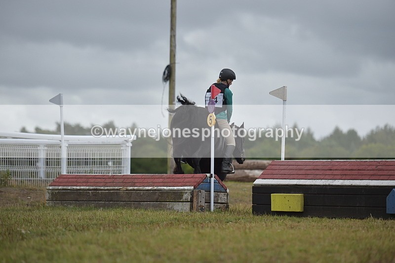 NGP_2790 - XC Time 11:37 to 11:57