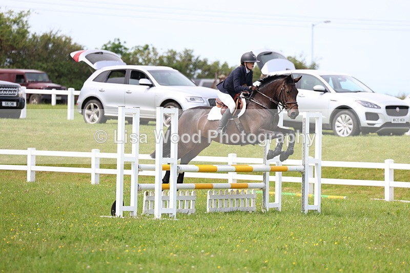 3E7A1581 - Class 13: Senior British Novice/90cm open