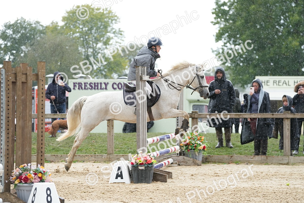 SBM_43300 - J7 - Junior Pony 60cm Championship