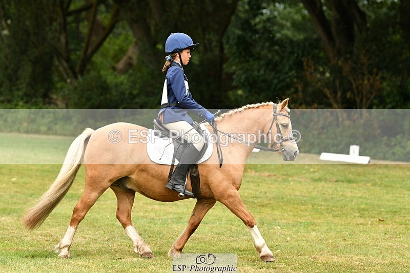 250820A-125750-05710 - 12 to 13.00