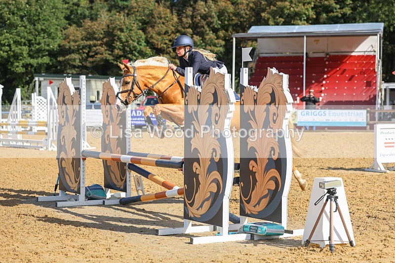 3E7A8334 - Class 4: Pony British Novice/80cm Open