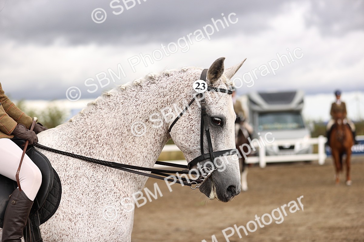 SBM_00618 - Class 53 - Ridden Competition Horse Pony