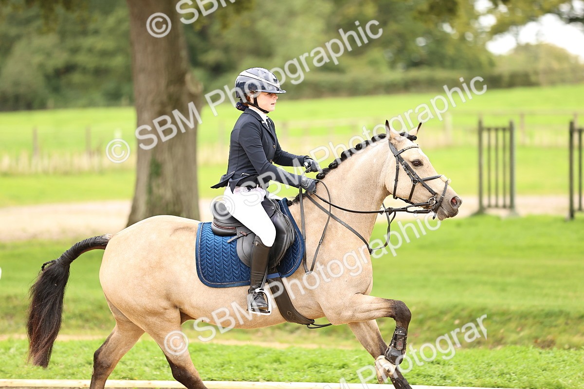 SBM_66563 - J17 - Junior Pony 80cm Championship