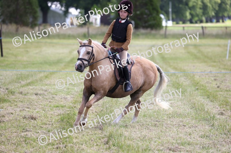 20260614-0463 - Class 20 - Beginners Working Hunter Pony