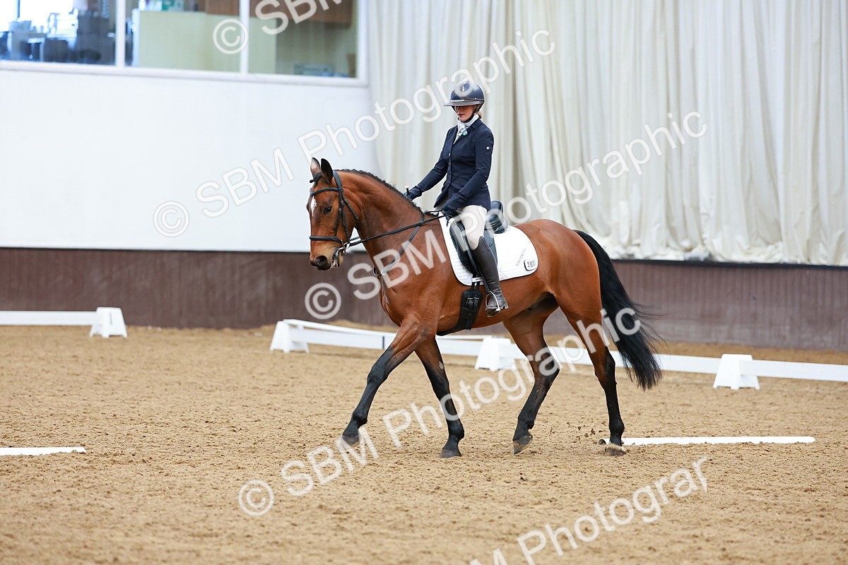 SBM_003274 - Class 11 - Novice 2