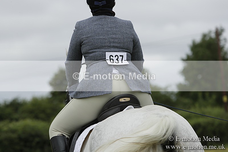 BVR160717-607 - Class 1 & 23a Dressage 16/07/17