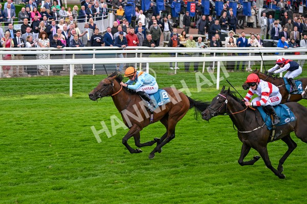 120724-Race 6-The Coffee Pod-6393 - Race 6 4.55pm Irish Thoroughbred Marketing Handicap