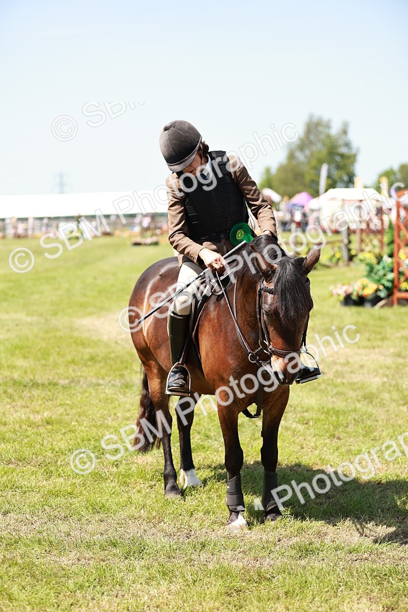 SBM_16426 - Class 110-111 - Training Stakes (70cms 80cms)