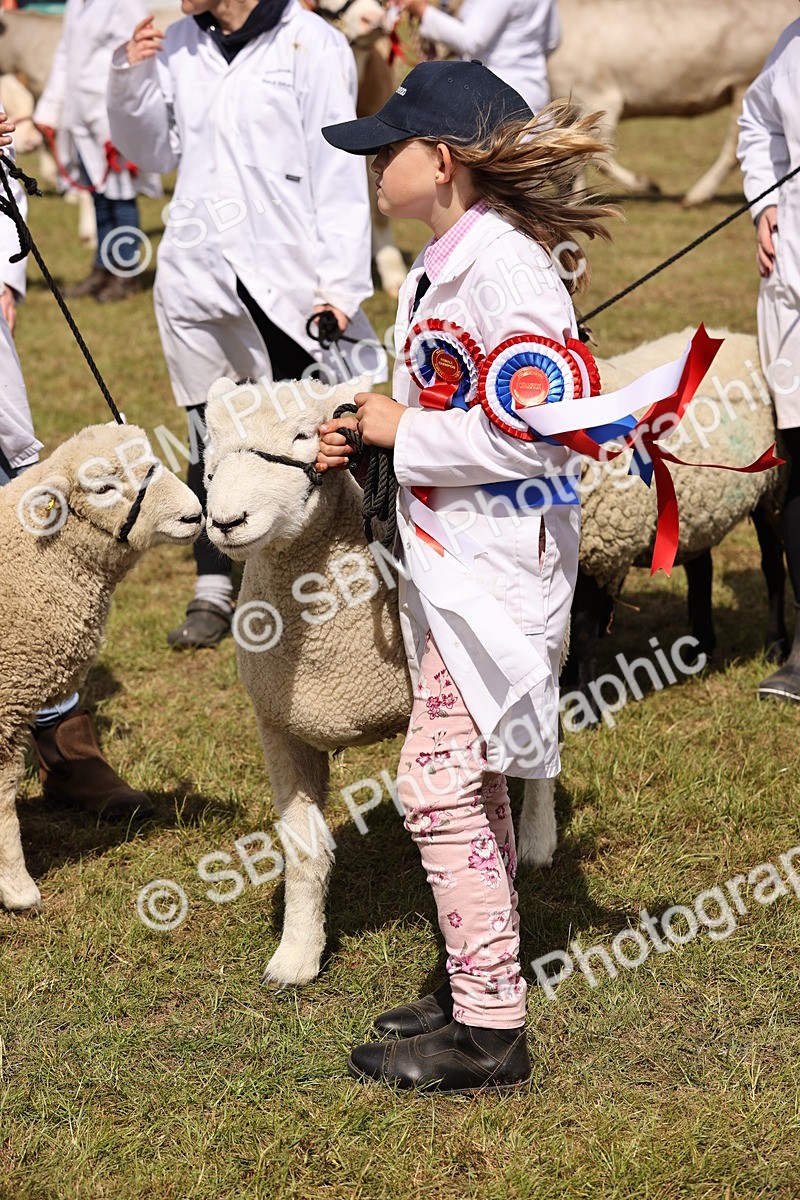 SBM_16923 - Grand Parade