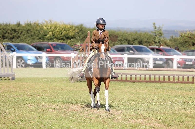 JPP_2148 - Class 19: Working Hunter 60cm