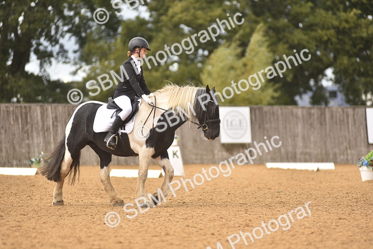 SBM_42536 - D22 - Junior Championship Intro 3