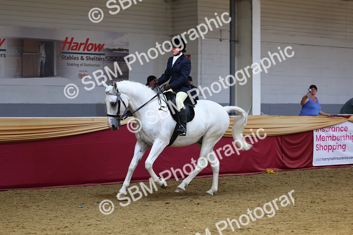 SBM_24576 - Class 906 - Supreme Final - Ridden Pre Vet