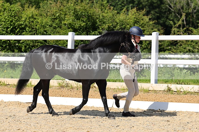 1X9A1112 - Class 9: Open Part Bred