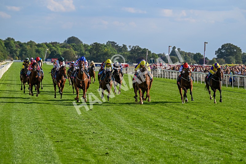 220826-Race 7-Raammee-1843 - Race 7 17.20pm Sky Bet Dav Reid Finale Handicap