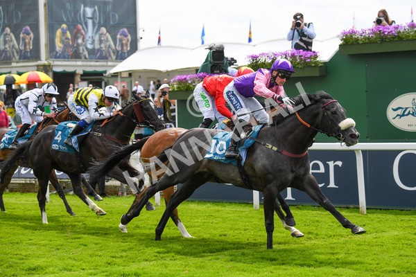 170523-Race 3-Azure Blue-0463 - Race 3 3.00pm 1895 Duke of York Clipper Logistics Stakes