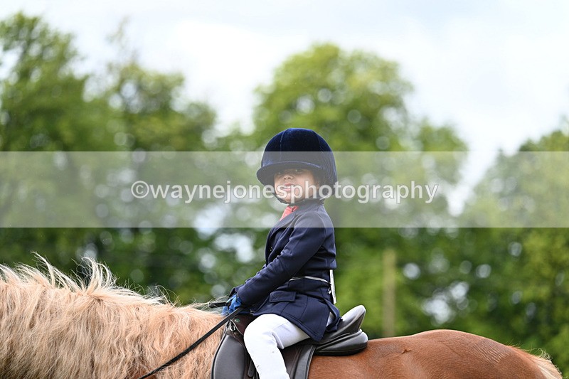 WJ7_4705 - Class 1 Lead Rein Pony
