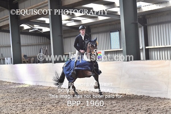 BPP_1960 - CLASS 9 Pony Discovery / 90cm Open