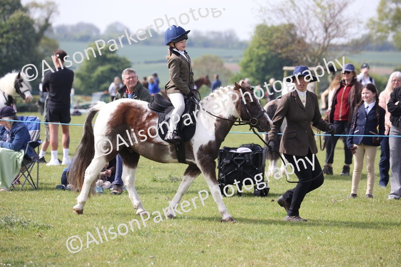 20260426-2591 - Class 31 - Leading Rein