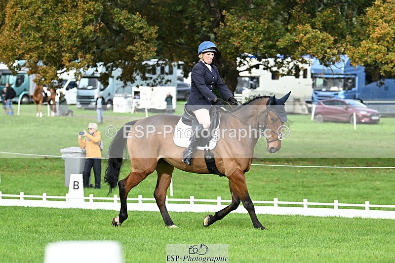 251023A-113543-03618 - G-514-Carolyn.Price With Trot Up